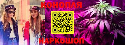 хмурый Гатчина