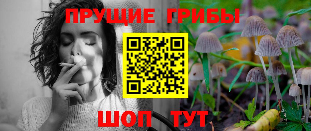 Псилоцибиновые грибы MAGIC MUSHROOMS Касимов