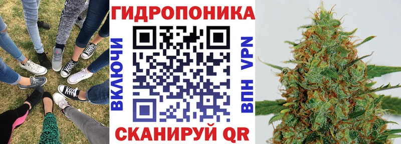 Марихуана ГИДРОПОН KRAKEN ссылка Касимов где купить наркотик